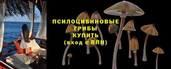 шишки Абинск
