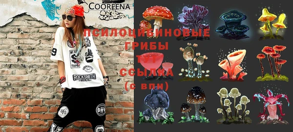 mix Абаза