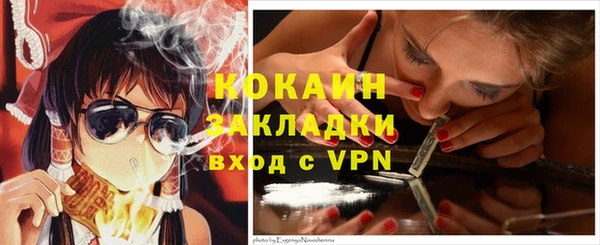 шишки Абинск